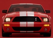 Shelby Cobra GT500 Show Car